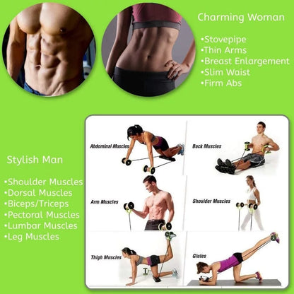 Gym Wheel Family Abs Wheel Gym Wheel Roller Quiet Rally Row Mein Shop