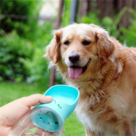 🐾 Süßer Durstlöscher – Deine Haustier-Wasserflasche für unterwegs